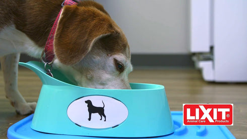 Lixit Ergonomic Bowls for Dogs with Long Ears (Coral, Medium)...