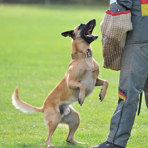 TSPRO Tactical Dog Collar 1.5 inch Wide Dog Collar Military Grade Strong Dog Collar Thick Dog Collar Heavy Duty Metal Buckle Dog Collar Fit 20.5-2...