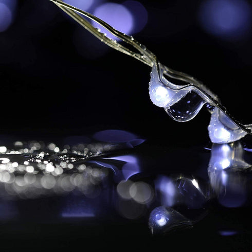 YJFWAL 12 Pack 10ft 30LED Starry String Lights with 8 Modes Timer Function Waterproof Fairy Lights Battery Operated(AAA Batteries Included) for DI...