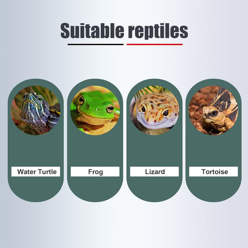 WEAVERBIRD Turtle Basking Platform, Turtle Tank Platform Aquarium Animal Sink Wharf, Double Decker Reptile Habitat, Climbing Shelf Turtle Tank Doc...