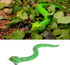 Liberty Imports 16 Inch Remote Control Rattle Snake Toy, Realistic Reptile Robot with Egg Shaped Infrared Receiver, RC Snake Prank Toy Ideal Gift ...