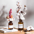 DomeStar Cotton Stems, Natural Dried Flowers 8 Packs Total 15 Bolls Cotton Sprigs Blooms Floral Stems for Vase Fillers...