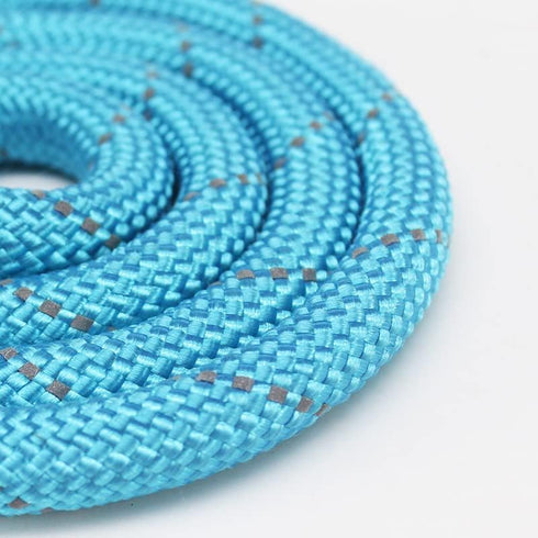 Puppy Pet Cat Dog Leash Collar Basic Accessories Reflective Retractable Dog Rope Pet Traction Belt 5FT(Medium 0.39IN, 24-66LB, Blue)...