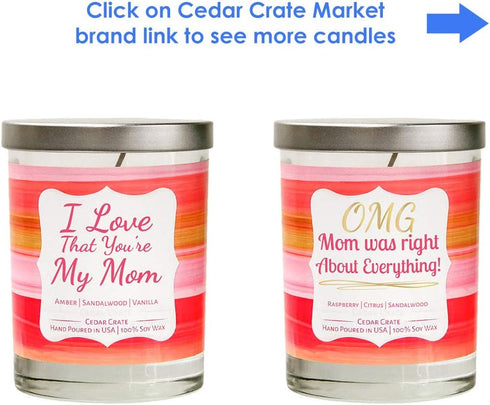 Funny Candle - OMG Mom was Right About Everything! - Best Mom Candles from Daughter, Son, Candle Gifts for Women, Luxury Scented, Decorative Aroma...