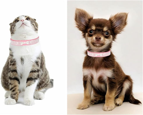 Small Dog Collar for Female Dogs,Crown Bling Puppy Collars Girls Cute Rhinestone Dazzling Sparkling Pretty Bling Crystal Diamond for XXS XS Small ...