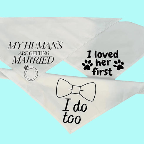 Blank Dog Bandanas Large-1PCS, DIY Solid White Triangle Scarf Premium Cotton Handkerchief or Bib, Personalized design Birthday/Party Fun Idea Gift...