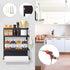 Dr.BeTree Magnetic Spice Rack for Refrigerator Magnetic Paper Towel Holder Shelf Fridge Magnet Organizer Spice Rack Organizer Kitchen Organization...