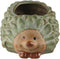 Ceramic Planter Pot Hedgehog Succulent Planter,Ceramic Animal Planter, Succulent Pots Cactus Pot for Office Home Desktop,Flower Pot Gifts for Plan...