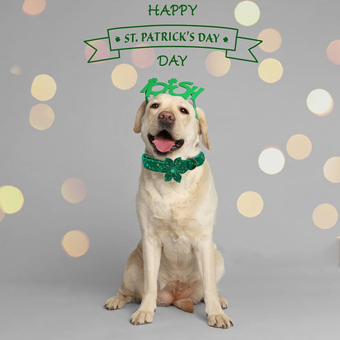 Elegant little tail St. Patrick's Day Dog Collar with Flower, Dog Collar Flowers Green Clover Girl Dog Collar Pet Gift Adjustable Dog Collar for S...