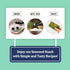 Organic DAECHUN(Choi's1) Seaweed Snacks, 20 Pack, Original, Product of Korea Premium Great...