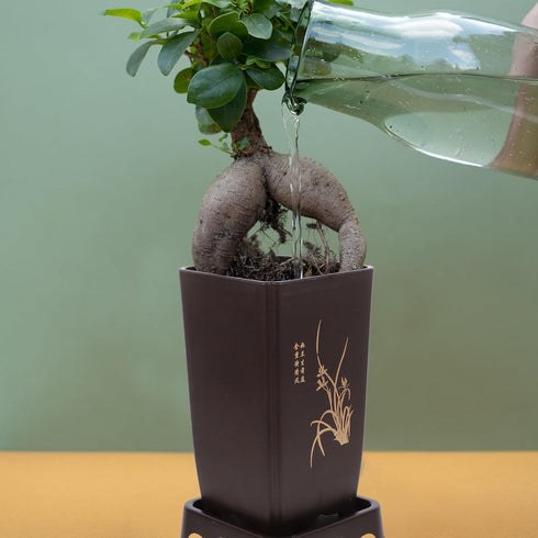 GANAZONO Resin Indoor Planter Pot, 19.50X10.50X10.50cm, Breathable, for Succulent, Orchid, Cactus, Flower Pot Nursery Pots, Modern Plant Pots, Chi...