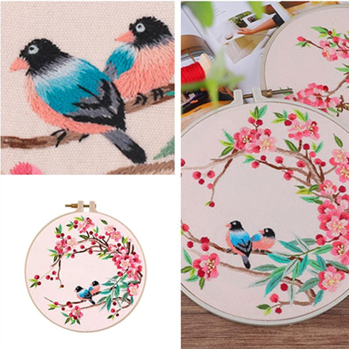 AISIBO Embroidery Kits, Embroidery Starter Kit with Birds Pattern and Instructions, Cross Stitch Set for Beginners, Embroidery Cloth with Pattern ...