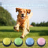 4pcs Dog Buttons for Communication Recordable Dog Talking Buttons Set with Stickers Speaking Button for Dog Training Interactive Tool Answer Buzze...