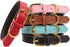 Basic Classic Padded Leather Pet Collars for Cats Puppy Small Medium Dogs (Large, Black)...