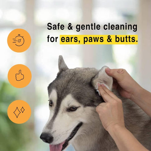 Urine Gone Pet Ears, Paws & Butt Cleaning & Moisturizing Wipes for Dogs & Cats - 70 Thick Grooming Wipes...