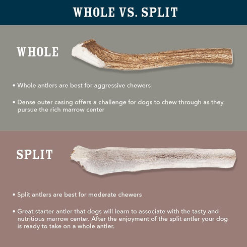 Amazon Brand - Wag Dog Elk Antler Chew, Naturally Shed, Whole, Large 8-9.5 inches (Best for Dogs 30-45 lbs), 3.60 Ounce (Pack of 1)...