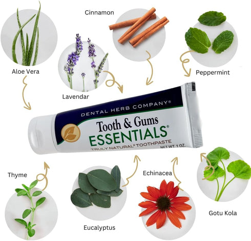 Dental Herb Company - Travel Toothpaste 1oz, (3 Pack) Truly Natural Fluoride-Free and SLS-Free - Superior Defense Against Bleeding and Irritated G...