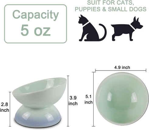 Ceramic Raised Cat Bowls, Tilted Elevated Food or Water Bowl for Cats and Small Dogs, Stress Free Whisker Friendly Porcelain Pet Bowl Dish, Dishwa...