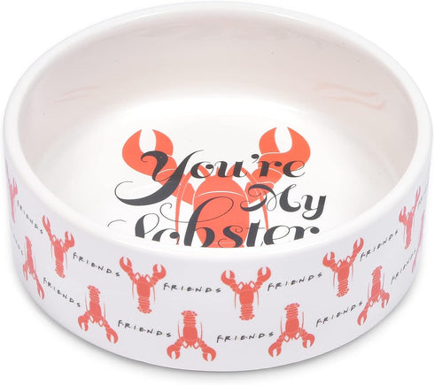 “You’re My Lobster” Cat Bowl, 5” 12.17oz Ceramic & Dishwasher-safe with Lobsters and Friends Logos | Friends Show Pet Products| Cat Bowls for Frie...