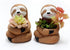 Succulent Planter Pot Animal Pot, Cactus Plant Pot Cute Sloth Design with Drainage Hole, Small Resin Flower Pot for Indoor Outdoor Decor...