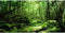 AWERT 36x20 inches Tropical Terrarium Background Rainforest Aquarium Background Green Tree Reptile Habitat Background Durable Polyester Background...