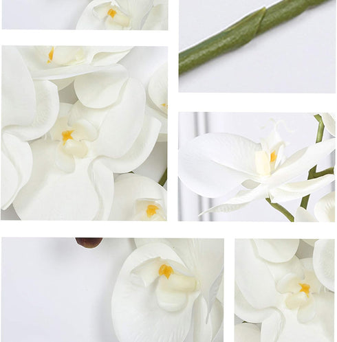 FagusHome 6 Pcs Artificial Phalaenopsis Flowers with 6 Bundles Leaves Artificial Orchid Flowers Stem Plants for Home Décor...
