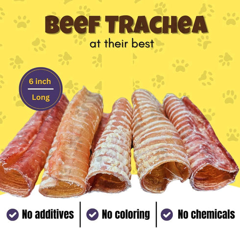 Woofley's Beef Trachea - (6 Inch 10 Pack) - Trachea Treats for Dogs - Natural Source of Glucosamine and Chondrotin for Joint Health - 100% Natural...