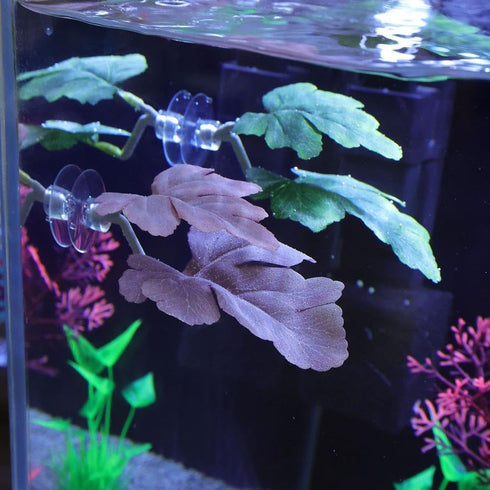 1Pc Green Betta Fish Leaf Pad,Plastic Plant Betta Hammock Leaf Bed,Simulating The Natural Habitat for Spawning Grounds,Suction Cup Betta Breeding ...