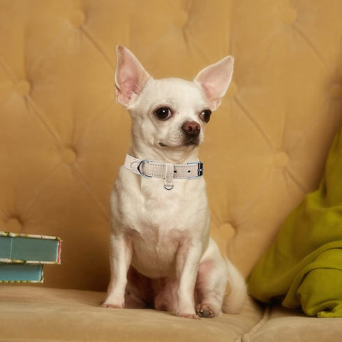 Dog Collar for Small Medium Large Dogs Pet Collars Girl Boy, PU Stamping Leather Plaid Dogs Collar Adjustable Chihuahua Teacup Yorkie Puppy Collar...