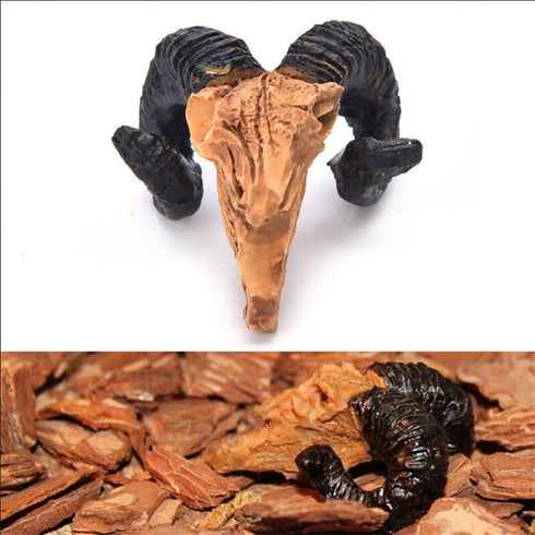 Toukero3e Terrarium Aquarium Skull Decor, 3 Pack Aquarium Skull Miniature Landscape, Rhino, Ram Head Skull, Ape Skull, Realistic Terrarium Habitat...