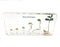 Bean Germination in Acrylic Block Lifecyle of Bean Biology Science Classroom Specimens (Bean Germination)...