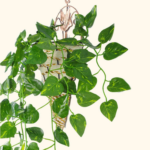 Kalolary Scindapsus Artificial Ivy Garland 84 Feet 12 Strands Leaves Vine Green Plants Garland Hanging Fake Plants Canvas Background Wedding Arch ...