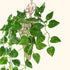 Kalolary Scindapsus Artificial Ivy Garland 84 Feet 12 Strands Leaves Vine Green Plants Garland Hanging Fake Plants Canvas Background Wedding Arch ...