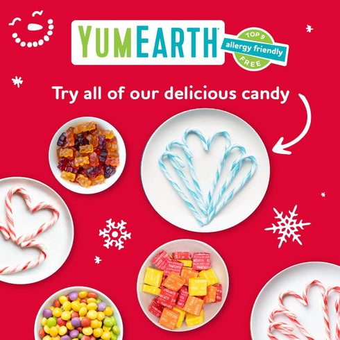 YumEarth Organic Candy Canes - Individually Wrapped Full Size Peppermint Candy Canes - Allergy Friendly, Non GMO, Gluten Free, Vegan - 10 Count (P...