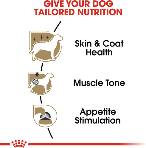 Royal Canin Poodle Adult Breed Specific Wet Dog Food, 3 oz. can...