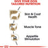 Royal Canin Poodle Adult Breed Specific Wet Dog Food, 3 oz. can...