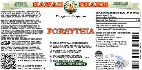 Forsythia - Your Natural Shield and Effective Protection, Alcohol-Free Liquid Extract, Organic Forsythia (Forsythia Suspensa) Dried Fruit Glycerit...