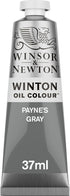 Winsor & Newton Winton Oil Color, 37ml (1.25-oz) Tube, Payne's Gray...