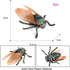 Animal Figures 3 pcs Realistic Plastic Golden Cicada Family Action Model Science Project, Learning Educational Toys, Birthday Gift, Cake Topper fo...