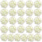 Auihiay 26 Pieces Hydrangea Artificial Flowers Silk Hydrangea Flowers Artificial Flowers Heads with Stems for Home Wedding Party Decorations (Ivor...