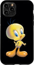 iPhone 11 Pro Looney Tunes Tweety Bird Airbrushed Case...
