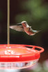 HighView 14 Oz Hummingbird Feeder Hanging Outdoor Nectar Feeding Station with 5 Ports and Perch...