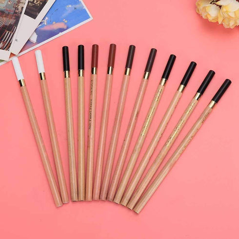 12PCS 4 Colors Sketching Pencils Wooden Charcoal Drawing Pencil Art Supplies with Gift Box for Art Students, Beginners, Professional Painter, Whit...