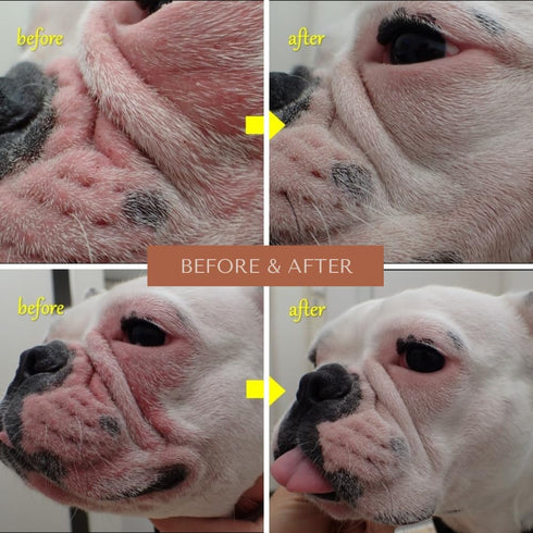 Wrinkle Rub | Bulldog, French Bulldog, Pug, English Bulldog | Cleans & Soothes Wrinkles, Folds, Tear Stain, Tail Pockets & Paws, Anti-Itch Paste W...