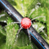 100 Pcs 360 Degree Adjustable Irrigation Drippers Sprinklers, 1/4 Inch Emitters Drip for Watering System Drip Irrigation System Gardens Lawn...