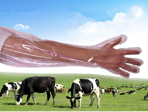 50Pcs Disposable Soft Plastic Film Gloves, Vet Gloves Palpation Sleeve Artificial Insemination Gloves 35.5inch Full Arm Gloves Livestock Gloves fo...