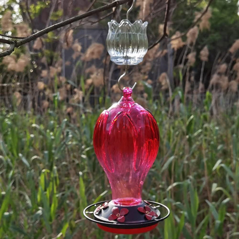 Glass Ant Moat for Hummingbird Feeder - 3 OZ Clear Tulip Insect Guard with Large Capacity...