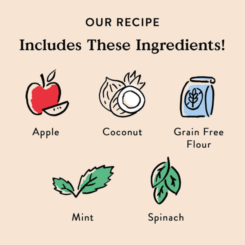 Bocce's Bakery Dailies Brushy Sticks to Support Oral Health & Fresh Breath, Wheat-Free Dental Bars for Dogs, Made with Real Ingredients, Baked in ...