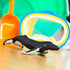 Safari Ltd. Humpback Whale Figurine - Detailed 7" Plastic Model Figure - Fun Educational Play Toy for Boys, Girls & Kids Ages 1+...