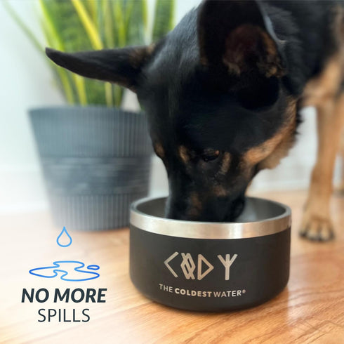 Coldest Dog Bowl - Anti Rust Metal & Non Slip Dog Bowls Large, Spill Proof Heavy Duty 3 Layers Insulated Dog Bowl - Food and Water Bowl for Dogs, ...